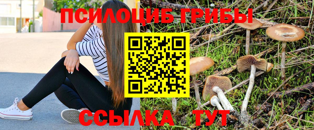 Кизилюрт  Галлюциногенные грибы GOLDEN TEACHER  Вход с VPN  Галлюциногенные грибы мицелий 